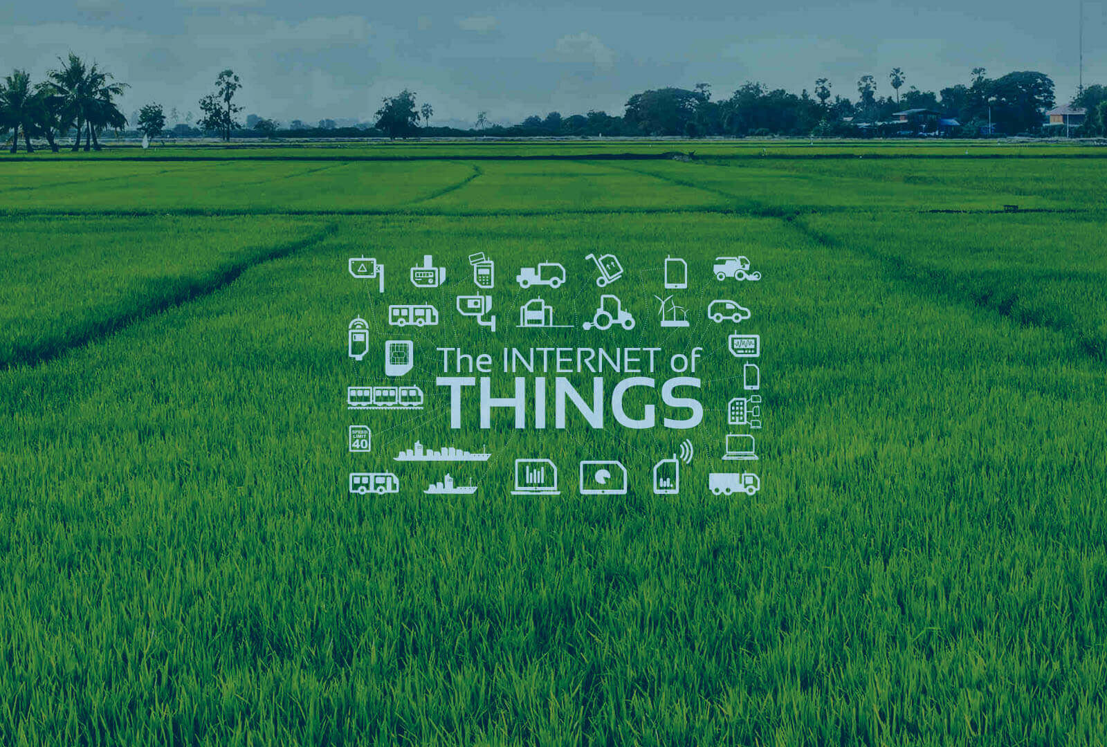 IoT Applications in Agriculture