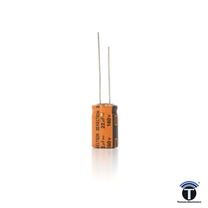 KELTRON 22 uF/160 V Radial Electrolytic Capacitor